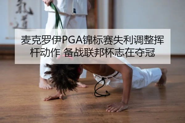 mai-ke-luo-yi-jin-biao-sai-shi-li-tiao-zheng-hui-gan-dong-zuo-bei-zhan-lian-bang-bei-zhi-zai-duo-guan-2-907.jpg